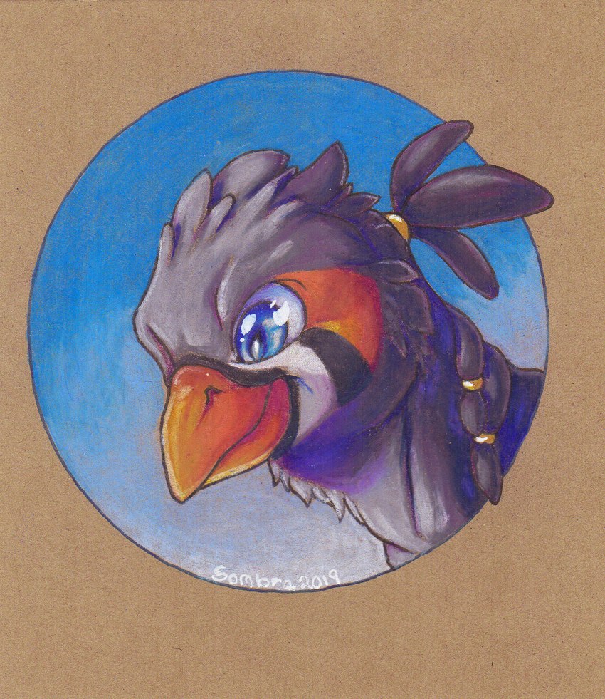 accessory beak blue_eyes feral grey_body hair_accessory hair_tie male markings orange_markings solo sombra_(artist) mythology ruzzy avian gryphon mythological_avian mythological_creature zebra_finch bust_portrait hi_res portrait