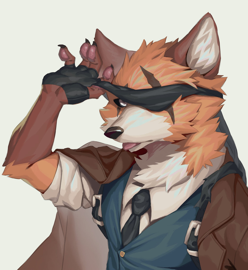 anthro clothed clothing countershading eye_patch eyewear fur male scar solo ty_arashi canid canine fox mammal 2020 digital_media_(artwork) hi_res