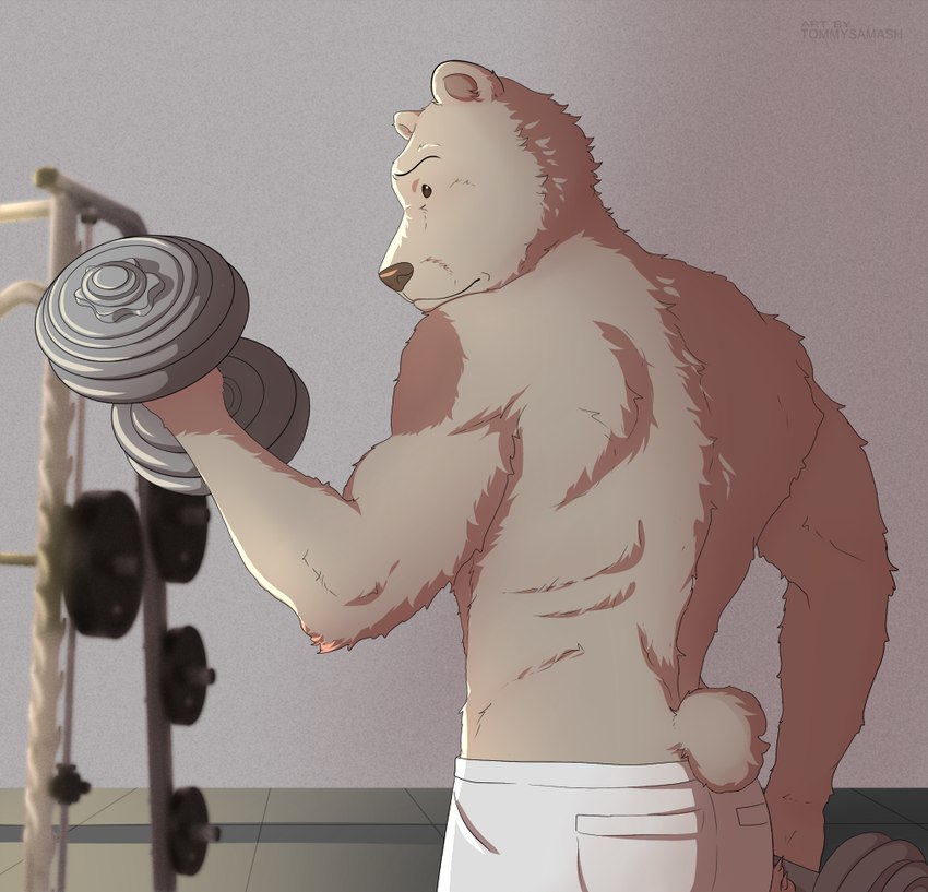 anthro back_muscles biceps clothed clothing day deltoids dumbbell exercise flexing floor fluffy grey_body gym holding_dumbbell inside kemono light looking_back male monotone_body muscular muscular_male pants_only rear_view shirtless solo sunlight tile tile_floor topless triceps weights workout tommysamash beastars netflix riz_(beastars) bear mammal artist_name cel_shading shaded