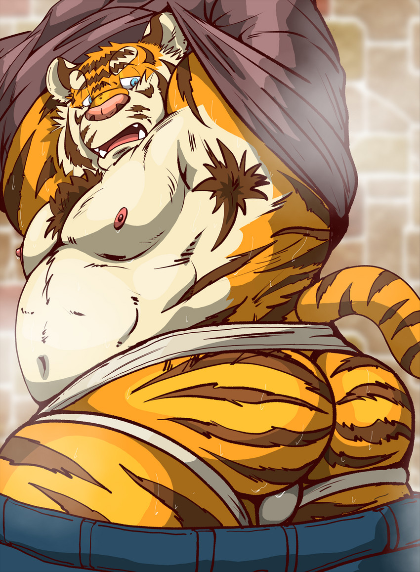 anthro belly bottomwear bulge clothed clothing jockstrap kemono male moobs navel nipples open_clothing open_shirt open_topwear overweight overweight_anthro overweight_male pants shirt solo topwear underwear undressing raichoclub felid mammal pantherine tiger 2019 hi_res