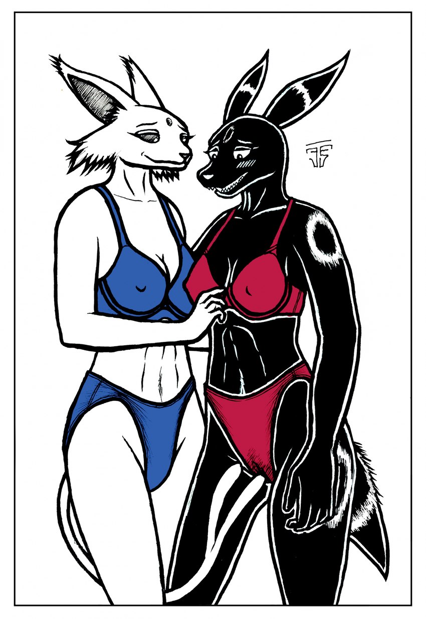 anthro bikini blush border camel_toe clothing duo female female/female nipple_outline nipples simple_background swimwear tail two-piece_swimsuit white_border dragontears nintendo pokemon eeveelution espeon generation_2_pokemon pokemon_(species) umbreon hi_res