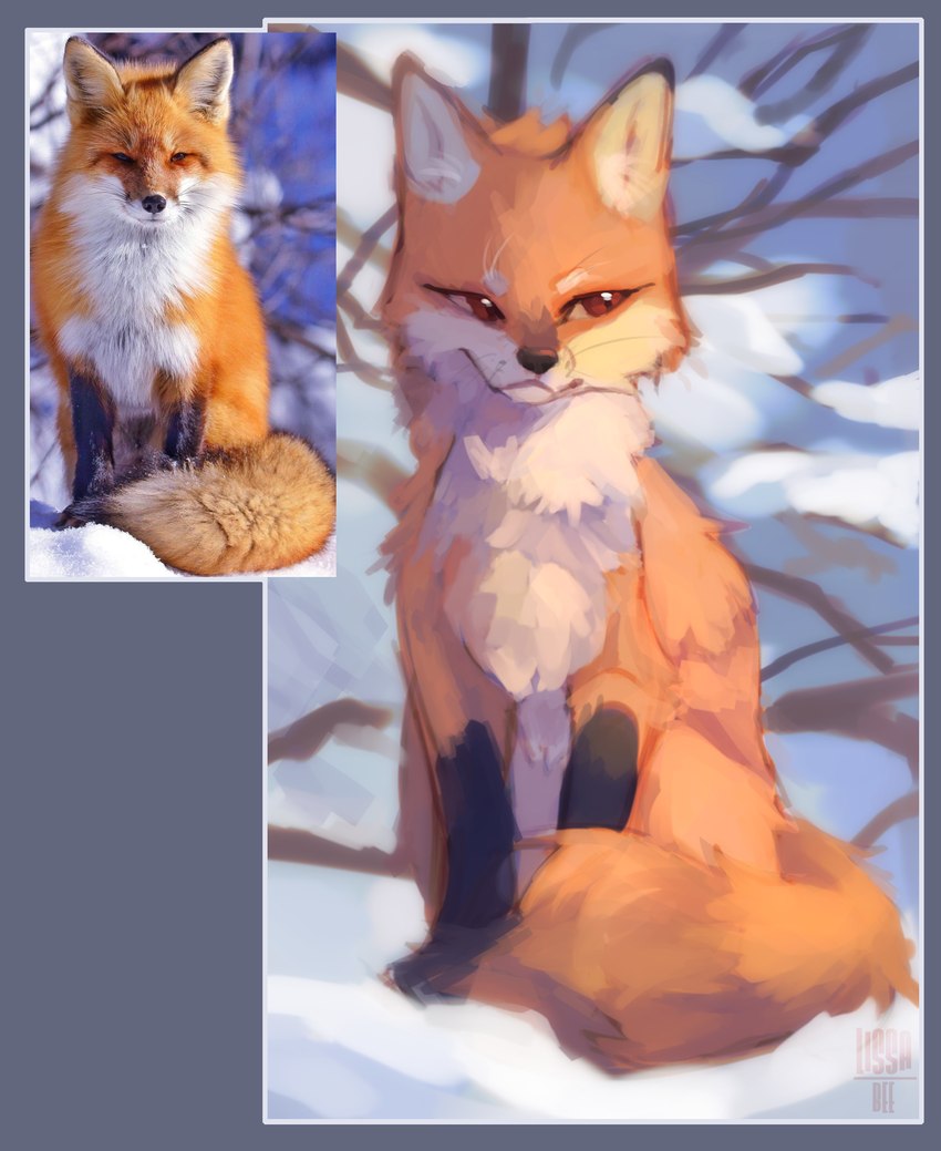 ambiguous_feral ambiguous_gender black_body black_fur brown_eyes feral fur orange_body orange_fur sitting snout snow solo tail whiskers white_body white_fur lissa_bee canid canine fox mammal red_fox true_fox 2024 digital_media_(artwork) digital_painting_(artwork) hi_res reference_image female_(lore)