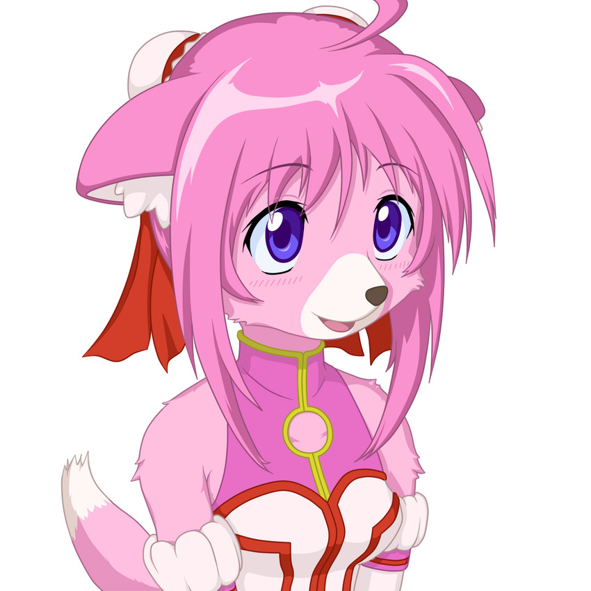 alternate_species anthro asian_clothing blue_eyes blush breasts chinese_clothing clothing east_asian_clothing female fur hair inner_ear_fluff looking_up pink_body pink_fur pink_hair simple_background smile solo tuft white_background kasetsu_hanga dog_days millhiore_f_biscotti canid mammal 1:1 2011 half-length_portrait hi_res portrait