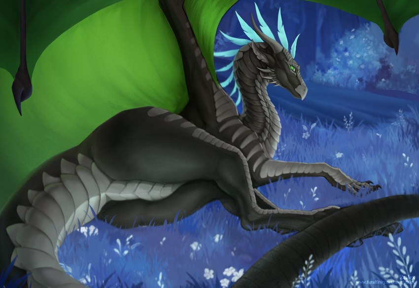 ambiguous_feral ambiguous_gender black_body black_claws black_scales claws digitigrade featureless_crotch feral grass green_membrane grey_body grey_scales membrane_(anatomy) membranous_wings plant quadruped scales solo tail wings ztalex european_mythology mythology dragon mythological_creature mythological_scalie scalie western_dragon hi_res