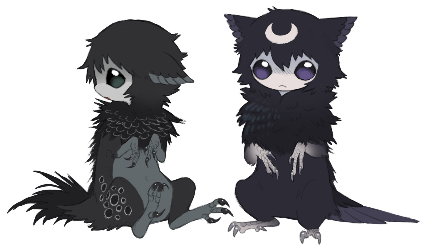 3_toes :< :o ambiguous_gender biped black_body black_feathers black_tail chibi countershading crescent_moon_(marking) ear_tuft facial_markings feathered_ears feathers feet feral fluffy forehead_markings grey_body grey_feathers grey_hair grey_scutes hair head_markings markings moon_(marking) mouth_closed navel neck_tuft open_mouth purple_eyes scutes semi-anthro short_hair simple_background sitting solo standing tail toes tuft white_background young young_ambiguous jejejunum whisper_(jejejunum) wither_(jejejunum) nethermare 2026 digital_drawing_(artwork) digital_media_(artwork) firealpaca_(artwork) brother_(lore) brother_and_sister_(lore) sibling_(lore) sister_(lore)