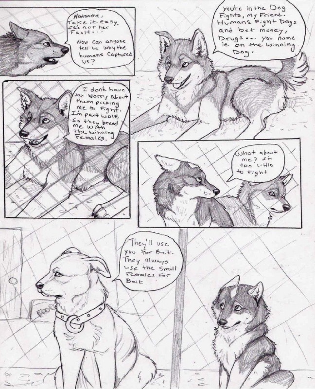 ambiguous_gender dialogue digitigrade feral fur group quadruped tail text natsumewolf rikku wolf's_rain wolf's_rain_next_generation coop_(wrng) natsume_(wrng) oz_(wrng) canid canine canis mammal wolf comic english_text graphite_(artwork) greyscale monochrome traditional_media_(artwork)