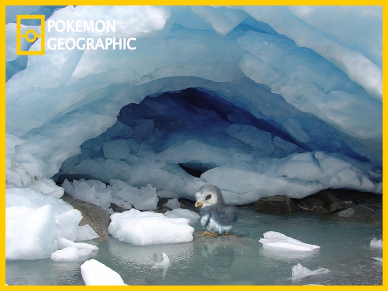 ambiguous_gender ice solo water izzatakiwa national_geographic nintendo pokemon pokemon_geographic generation_4_pokemon piplup pokemon_(species) 4:3