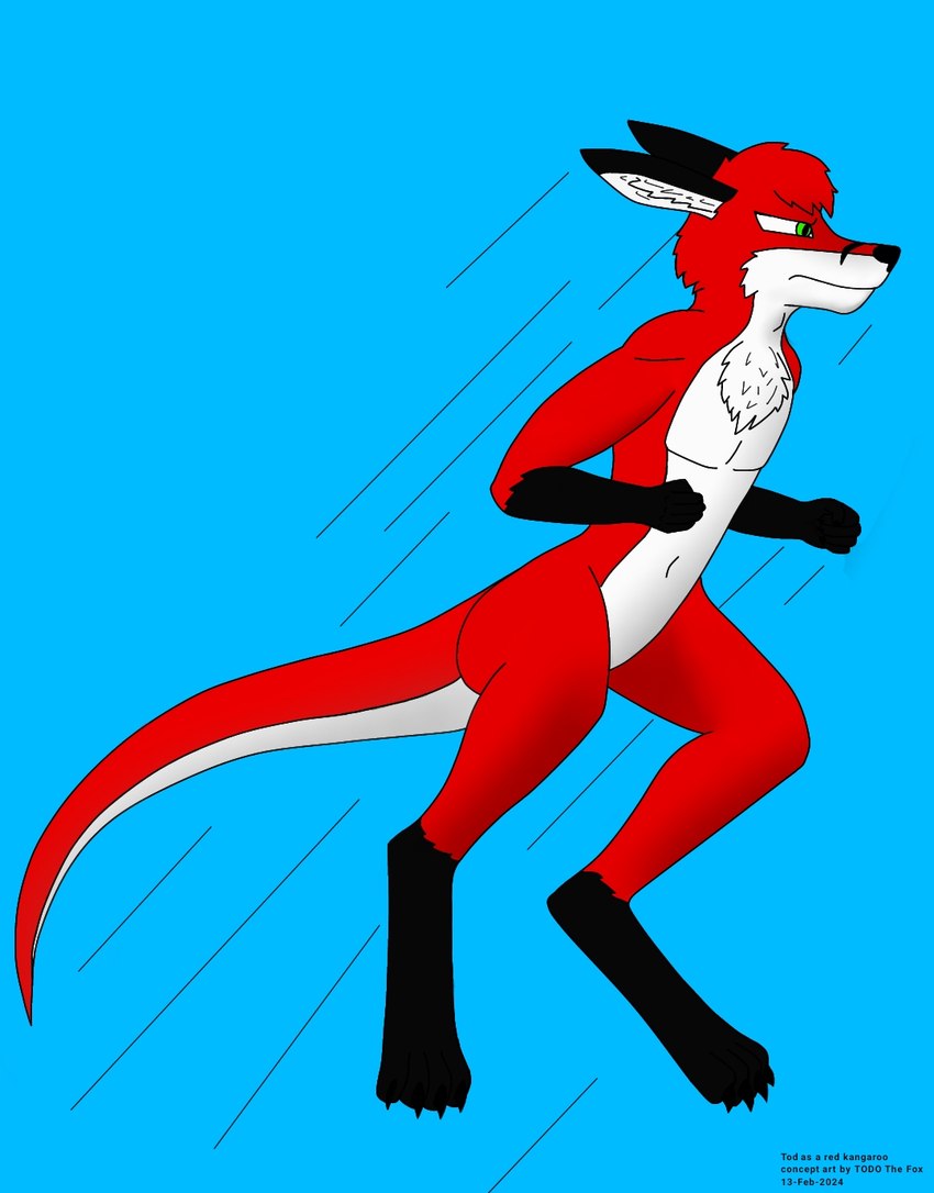 anthro black_arms black_claws black_feet black_nose blue_background claws feet fur green_eyes jumping nose_marking red_body red_fur simple_background white_body white_fur todo_the_fox todo_(character) kangaroo macropod mammal marsupial red_kangaroo concept_art digital_media_(artwork) hi_res ibispaint_(artwork)