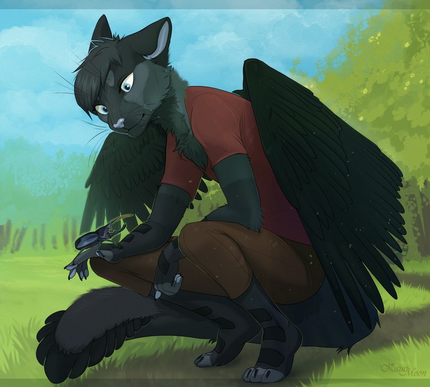 anthro black_body black_fur black_hair blue_eyes blue_nose bottomwear brown_bottomwear brown_clothing brown_pants chest_tuft clothing crouching feathers fur hair looking_at_hand male pants red_clothing red_shirt red_topwear shirt solo tail topwear tuft whiskers wings kaurimoon arthropod beetle domestic_cat felid feline felis insect mammal rhinoceros_beetle scarabaeid