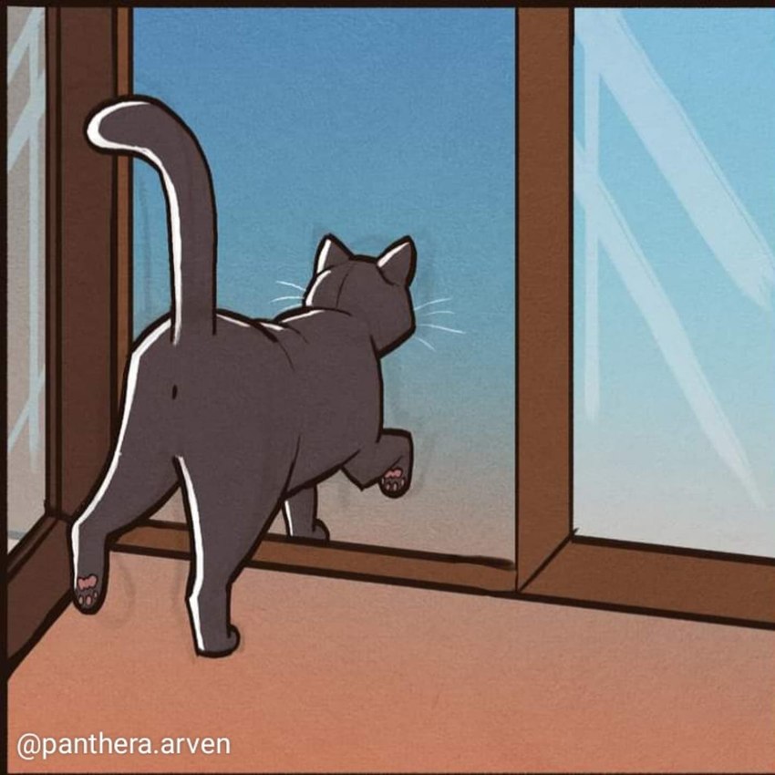 ambiguous_gender anus door feral quadruped raised_tail solo tail walking whiskers panthera_arven leo_(panthera_arven) domestic_cat felid feline felis mammal 1:1 hi_res