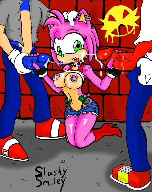 amy rose, knuckles the echidna, and sonic the hedgehog (sonic the hedgehog (series) and etc) created by slashysmiley