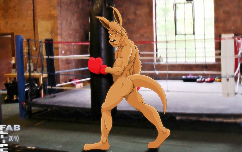 anthro biceps biped black_nose boxing_gloves boxing_gloves_only brown_body brown_fur brown_hair butt closed_smile clothing fighting_ring fur hair handwear handwear_only male mostly_nude mouth_closed side_butt smile snout solo standing tail yellow_eyes fabfelipe kangaroo macropod mammal marsupial 2010