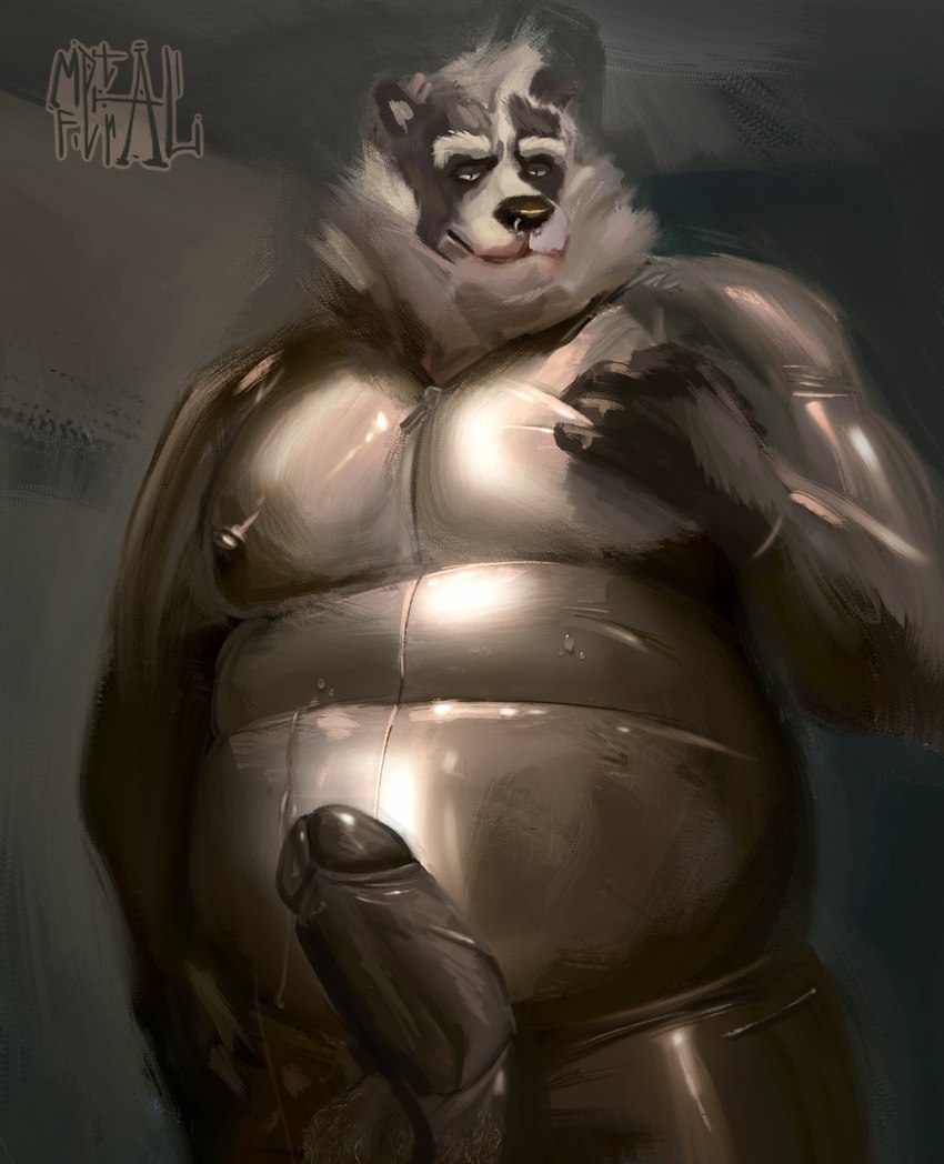 anthro balls black_body black_fur bodily_fluids brown_nose brown_penis clothed clothing erection facial_piercing fur genital_fluids genitals grey_body grey_fur hair latex latex_clothing latex_skinsuit looking_at_viewer male moobs nipples nose_piercing overweight overweight_male penis piercing rubber_clothing simple_background skinsuit slightly_chubby slightly_chubby_male smile solo tight_clothing translucent translucent_clothing translucent_latex white_body white_fur metalferal zeppelin_(metalferal) badger european_badger mammal meles mustelid musteline digital_media_(artwork) hi_res