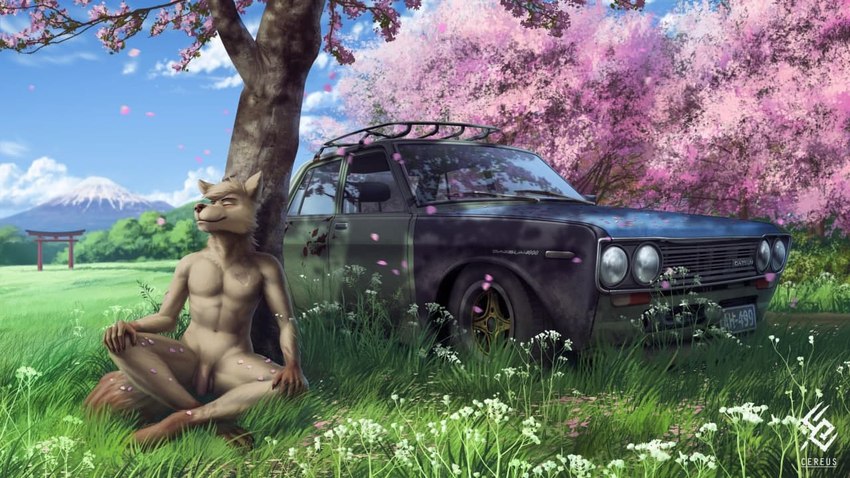 anthro balls blue_sky car cheek_tuft cherry_blossom cherry_blossom_tree cherry_tree closed_smile cloud eyes_closed facial_tuft flaccid flower foreskin front_view fruit_tree fur genitals grass hair humanoid_genitalia humanoid_penis logo male motor_vehicle mouth_closed nude outside penis plant prunus_(flower) short_hair sitting sky smile solo tan_balls tan_body tan_fur tan_hair tan_penis tree tuft vehicle cereus93 datsun canid mammal 16:9 artist_logo artist_name detailed full-length_portrait portrait widescreen