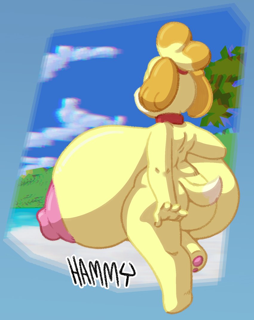 anthro areola back_boob beach big_breasts breasts casual_nudity collar collar_only female huge_breasts hyper hyper_breasts nipples nude outdoor_nudity outside pawpads public public_nudity rear_view solo hammy animal_crossing nintendo isabelle_(animal_crossing) canid canine canis domestic_dog mammal hi_res