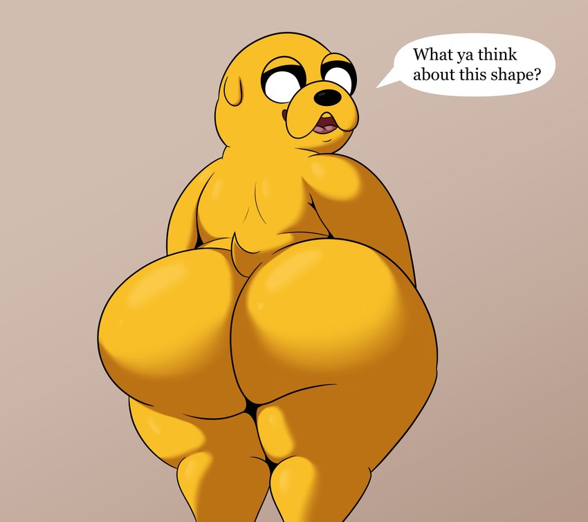 jake the dog (cartoon network and etc) created by colossalstars