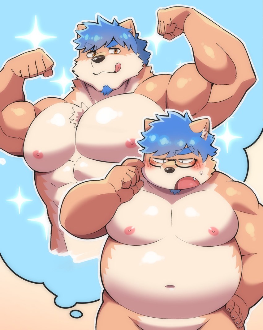 anthro belly big_belly blue_hair blush eyewear glasses hair humanoid_hands kemono male moobs muscular muscular_male navel nipples overweight overweight_male solo tongue tongue_out diru11 canid canine canis domestic_dog mammal 2023 absurd_res hi_res