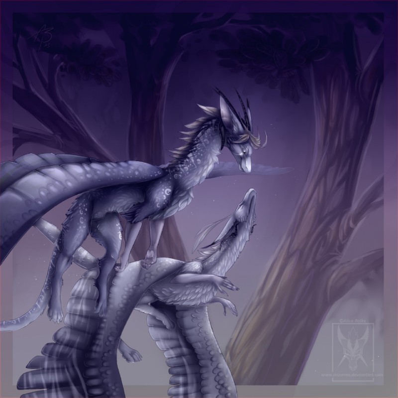 ambiguous_gender claws duo feathered_wings feathers feral horn outside plant tail tree wings minerea mythology dragon mythological_creature mythological_scalie scalie 1:1 digital_media_(artwork) hi_res