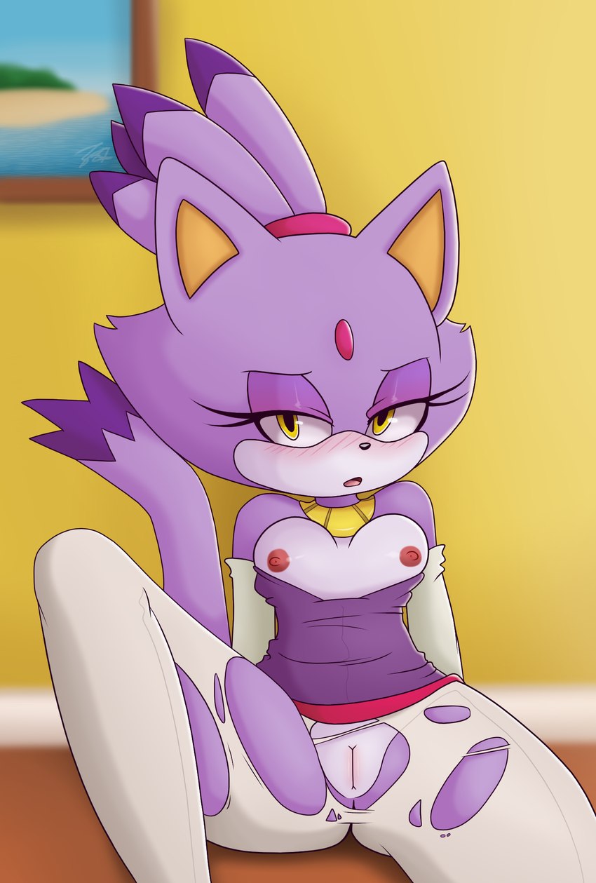 blaze the cat (sonic the hedgehog (series) and etc) created by es74 and tenshigarden