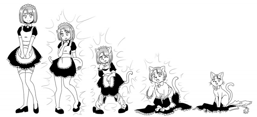 basic_sequence bell breasts female feral five_frame_image five_frame_sequence hair human_to_feral linear_sequence looking_at_viewer multi_frame_sequence ribbons short_hair shrinking simple_background size_transformation smile solo species_transformation standing surprise transformation transformation_sequence white_background xbc9 domestic_cat felid feline felis human mammal 2019 monochrome sequence