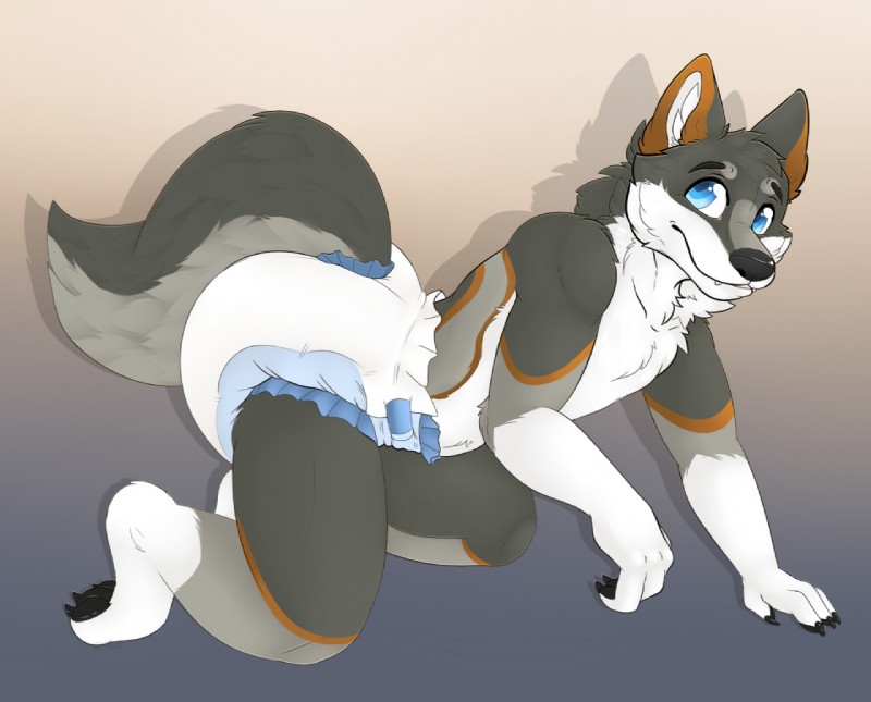 all_fours anthro black_nose black_pawpads blue_eyes claws clean_diaper clothed clothing diaper fangs fur furgonomics kneeling looking_at_viewer male multicolored_body multicolored_fur pawpads solo teeth wearing_diaper white_body white_fur imply canid canine canis mammal wolf 2020