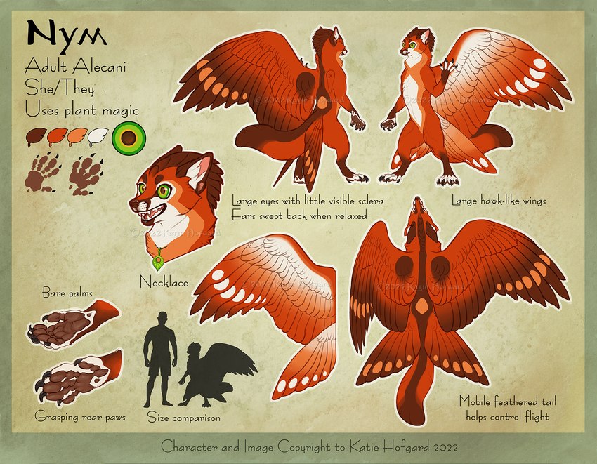 4_toes 5_fingers ambiguous_gender anthro feathered_wings feathers feet fingers green_eyes open_mouth solo teeth text toes tongue wings katie_hofgard nym_(katie_hofgard) alecani 2022 digital_media_(artwork) english_text hi_res model_sheet