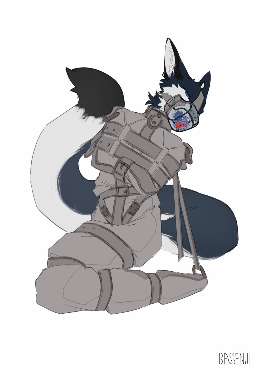 anthro bdsm biped blue_eyes bondage bound bound_midriff fullbody_straitjacket kneeling lock_symbol male muzzle_(object) muzzled restraints simple_background solo straitjacket submissive submissive_anthro submissive_male white_background white_straitjacket bassenji canid canine fox mammal 2022 hi_res