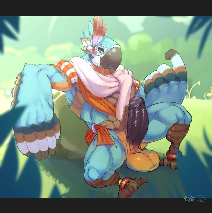 anthro balls beak beckoning big_balls big_penis black_penis clothing feathers genitals gesture humanoid_genitalia humanoid_penis inviting looking_at_viewer male muscular muscular_male penis smile solo wyth breath_of_the_wild nintendo the_legend_of_zelda kass_(tloz) avian bird rito 2021 absurd_res digital_media_(artwork) hi_res