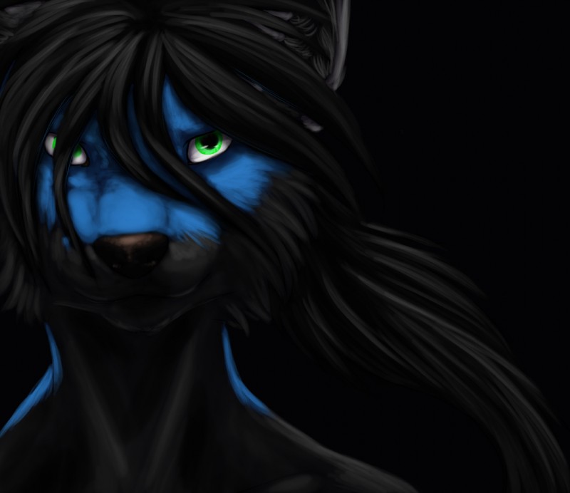 ambiguous_gender anthro black_body black_fur black_hair black_nose blue_body blue_fur female fur green_eyes hair simple_background solo runicnature canid canine canis mammal wolf hi_res