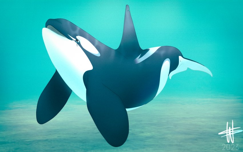 ambiguous_feral ambiguous_gender black_body blue_eyes blue_markings feral fin markings notched_fin open_mouth solo underwater water white_body year wesphin bekuta_(wesphin) cetacean dolphin mammal marine oceanic_dolphin orca toothed_whale 2023 hi_res male_(lore)