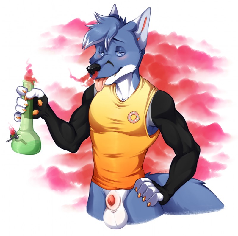 animal_genitalia anthro balls bong clothing drugs genitals looking_at_viewer male marijuana navel penis ringed_eyes sheath shirt solo tank_top tongue tongue_out topwear yellow_clothing spazzyhusky nokly canid canine fox mammal absurd_res digital_media_(artwork) hi_res shaded