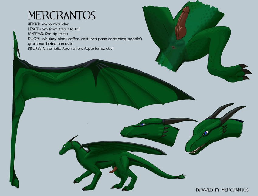 anus bared_teeth black_claws black_horn black_markings blue_eyes claws erection feral genitals green_body green_scales horn male markings multiple_angles penis presenting scales smile solo spread_wings tail text wings mercrantos mythology mercrantos_(character) dragon mythological_creature mythological_scalie scalie absurd_res digital_media_(artwork) english_text hi_res model_sheet