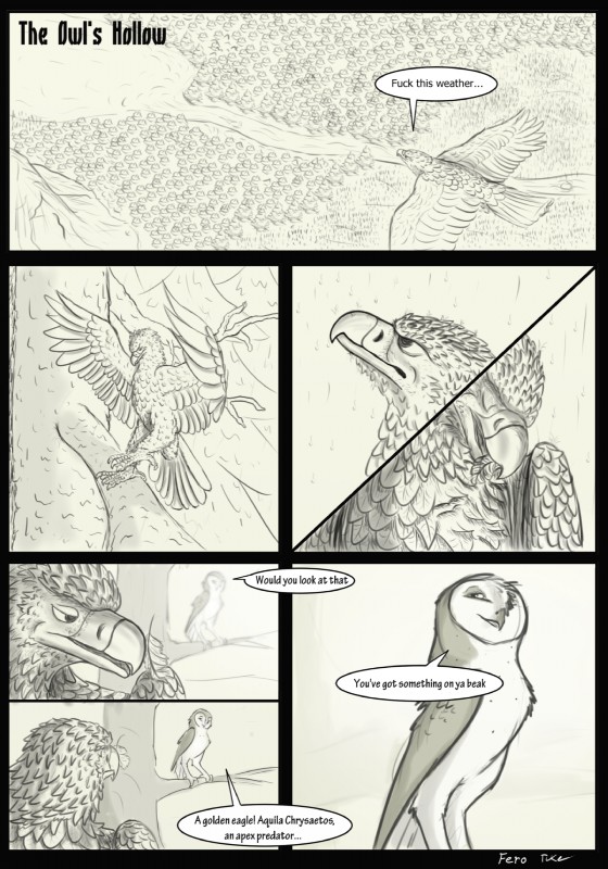 ambiguous_gender beak dialogue duo feathered_wings feathers feral tail tail_feathers text winged_arms wings ferobird tuke accipitrid accipitriform avian bird eagle owl comic english_text hi_res monochrome