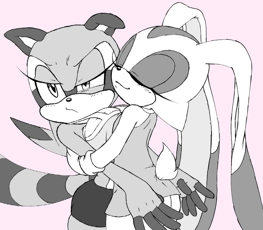 aged_up annoyed anthro big_breasts blush bottomwear breast_squish breasts breasts_press clothed clothing discontent duo eyes_closed female female/female furgonomics hug interspecies miniskirt pink_background simple_background skirt squish tail tail_over_skirt tail_through_skirt tight_clothing hb_lint sega sonic_the_hedgehog_(series) cream_the_rabbit marine_the_raccoon hi_res