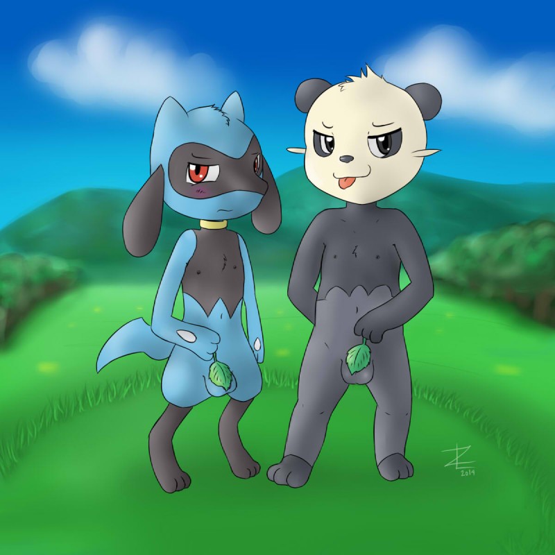 anthro balls blush cloud convenient_censorship duo fig_leaf fur genitals hair leaf leaf_censor looking_at_viewer male nude outside sky smile tongue young zeklullaby nintendo pokemon canid canine generation_4_pokemon generation_6_pokemon mammal pancham pokemon_(species) riolu 1:1 2014 digital_media_(artwork) hi_res