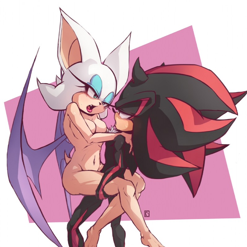 rouge the bat and shadow the hedgehog (sonic the hedgehog (series) and etc) created by anisair
