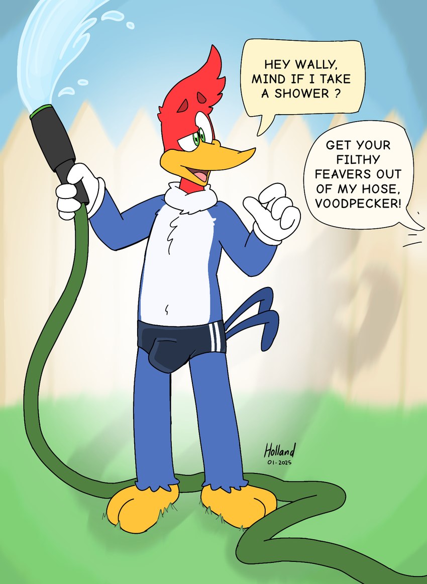 anthro avian_feet bulge clothed clothing dialogue feathers hose male offscreen_character outside solo speedo speedo_only swimwear tail tail_feathers text toony topless manchotchaud the_woody_woodpecker_show universal_studios woody_woodpecker avian bird picid woodpecker english_text hi_res