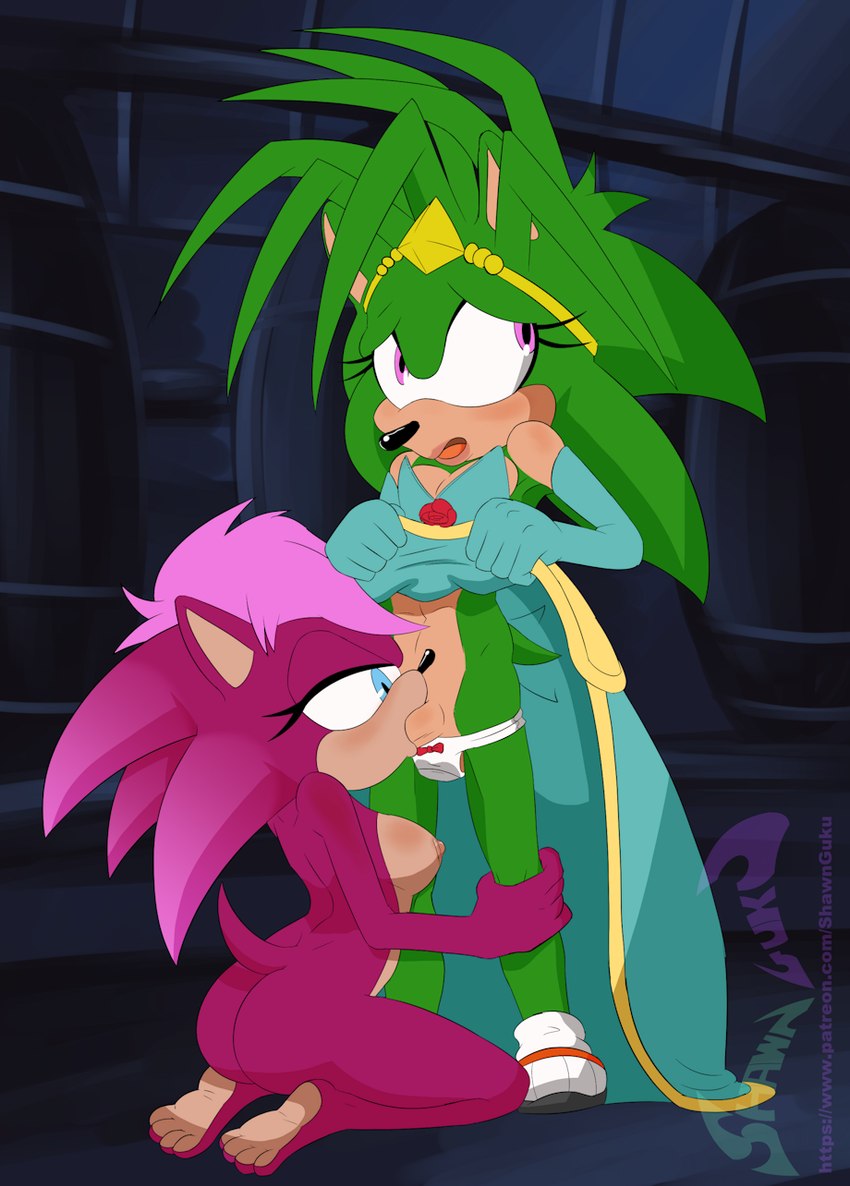 manic the hedgehog and sonia the hedgehog (sonic the hedgehog (series) and etc) created by shawnguku