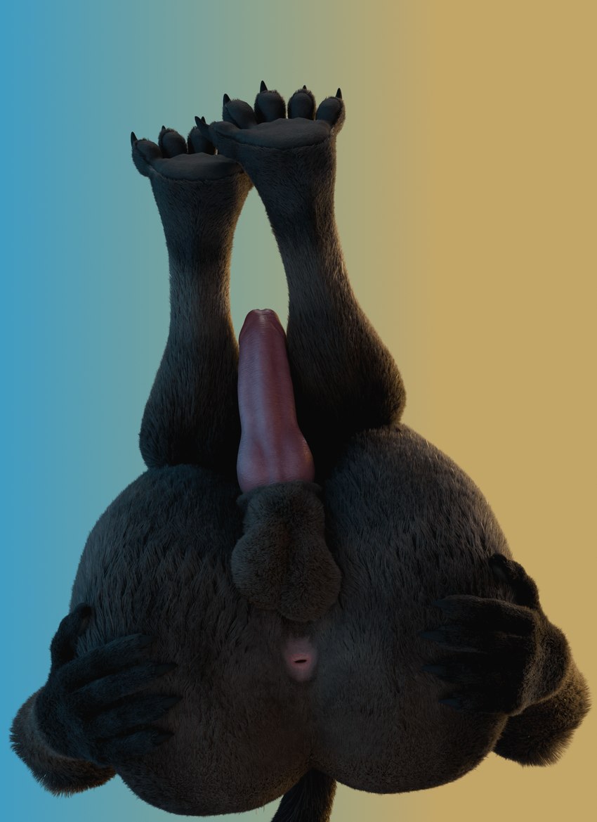 animal_genitalia anthro anus balls erection genitals hybrid_genitalia hybrid_penis knot knotted_penis legs_up low-angle_view male penis presenting sheath solo no-name-no-problem guardians_of_the_galaxy marvel rocket_raccoon mammal procyonid raccoon 3d_(artwork) digital_media_(artwork) hi_res