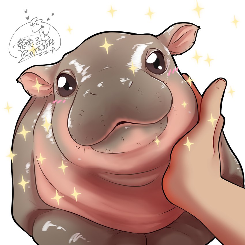 ambiguous_gender baby brown_eyes female female_feral feral first_person_view grey_body grey_skin human_pov no_sclera petting simple_background solo sparkles white_background young young_feral jcgieafe moo_deng hippopotamid human mammal pygmy_hippopotamus 1:1 colored digital_media_(artwork) digital_painting_(artwork) hi_res signature female_(lore)