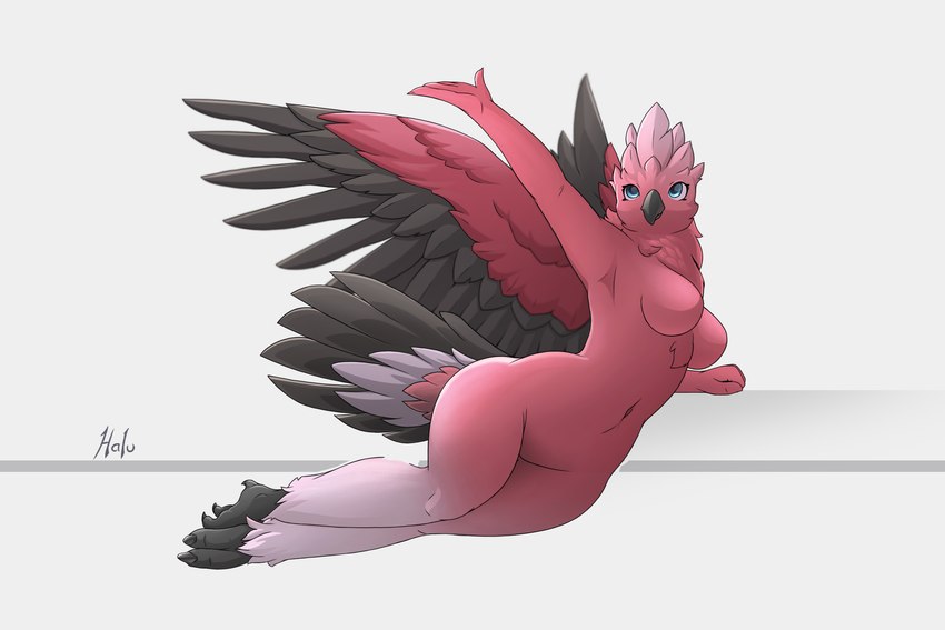 anthro beak blue_eyes breasts butt feathers featureless_breasts feet female neck_tuft nude pink_body pose solo tail tail_feathers talons toes tuft wings halu avian bird cockatoo galah parrot 3:2 hi_res