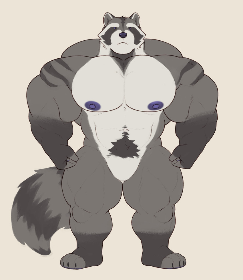 4_toes anthro areola arm_markings barazoku biceps big_muscles big_pecs biped black_body black_claws black_fur black_nose black_toe_claws claws countershade_face countershade_fur countershade_torso countershading deltoids facial_markings featureless_crotch feet fingerless_(marking) fingerless_gloves_(marking) fingers fist front_view fur gloves_(marking) grey_body grey_fur grey_inner_ear head_markings huge_muscles humanoid_hands hyper hyper_muscles leg_markings looking_at_viewer male male_anthro manly markings mask_(marking) monotone_background multicolored_body multicolored_fur muscular muscular_anthro muscular_arms muscular_male muscular_thighs navel nipples nude nude_anthro nude_male pecs plantigrade pubes purple_areola purple_eyes purple_nipples purple_nose quads ring_(marking) ringed_tail shoulder_markings simple_background simple_eyes socks_(marking) solo standing striped_body striped_fur striped_markings striped_tail stripes tail tail_markings toe_claws toeless_(marking) toeless_socks_(marking) toes trapezius triceps white_body white_countershading white_fur theor mammal procyonid raccoon digital_drawing_(artwork) digital_media_(artwork) flat_colors full-length_portrait hi_res portrait