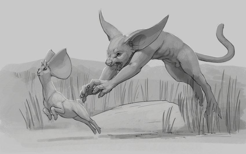 ambiguous_gender animal_genitalia anthro big_ears claws duo feral fully_sheathed genitals grass hooves horn hunting jumping male open_mouth outside plant savanna sheath short_tail si'itian speculative_evolution tail teeth ipoke mammal 16:10 greyscale hi_res monochrome widescreen