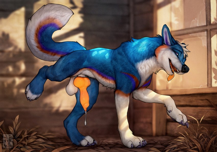 anatomically_correct anatomically_correct_genitalia anatomically_correct_penis animal_genitalia animal_penis balls black_nose blue_body blue_ears blue_fur blue_tail bodily_fluids canine_genitalia canine_penis claws countershading cum detailed_fur dripping feral fur genital_fluids genitals grey_claws grey_pawpads knot male male_feral pawpads paws penis pink_eyes precum precum_drip purple_claws raised_leg saggy_balls sheath solo tail teeth tongue tongue_out white_balls white_body white_countershading white_fur white_tail yellow_penis yellow_tongue anchee cherenkov canid canine canis mammal wolf 2024 detailed hi_res