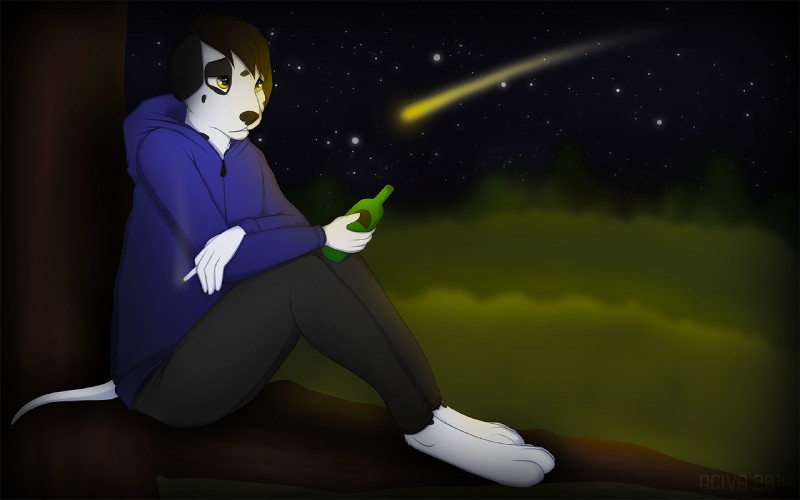 alcohol anthro barefoot beer beverage biped black_body black_bottomwear black_clothing black_fur black_spots blue_clothing blue_topwear bottomwear clothed clothing feet forest fully_clothed fur hoodie in_tree lonely markings night plant sad shooting_star side_view sitting sky smoking solo spots spotted_body spotted_fur star starry_sky topwear tree white_body white_fur aciva diara canid canine canis dalmatian domestic_dog mammal 16:10 digital_media_(artwork) full-length_portrait portrait widescreen