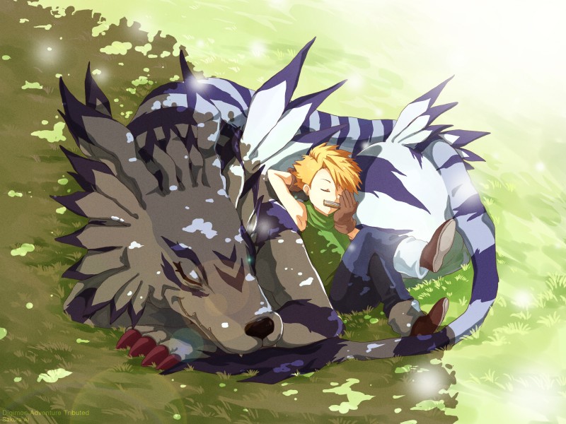 ambiguous_gender blonde_hair claws duo eyes_closed feet feral fur grass hair harmonica male musical_instrument outside plant playing_music size_difference sleeping smile toe_claws toes wind_instrument sakura_ai bandai_namco digimon digidestined matt_ishida canid canine digimon_(species) garurumon human mammal 4:3 absurd_res hi_res