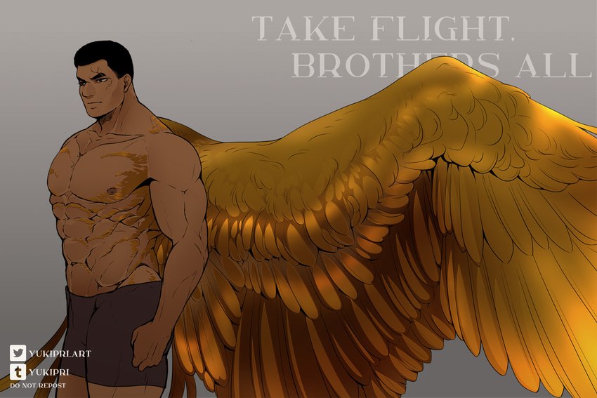 abs black_hair brown_eyes clothing feathers golden_wings gradient_background hair looking_aside male muscular muscular_male nipples not_furry simple_background solo text underwear wing_muscles wings yukipri cody_(star_wars) humanoid winged_humanoid 3:2 english_text watermark