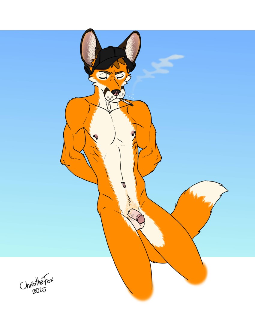 anthro balls big_ears brown_hair cigarette cigarette_in_mouth cigarette_smoke circumcised circumcision_scar clothing ears_up eyes_closed fox_ears fox_tail fur genital_scar genitals hair hands_behind_back hat hat_only headgear headgear_only headwear headwear_only kneeling male mostly_nude muscular muscular_anthro muscular_male nipple_piercing nipples nude nude_anthro nude_male object_in_mouth orange_body orange_fur penis piercing scar smoke solo tail wearing_hat white_body white_fur bartek22 chris_the_fox_(bartek22) canid canine fox mammal 4:5 absurd_res hi_res