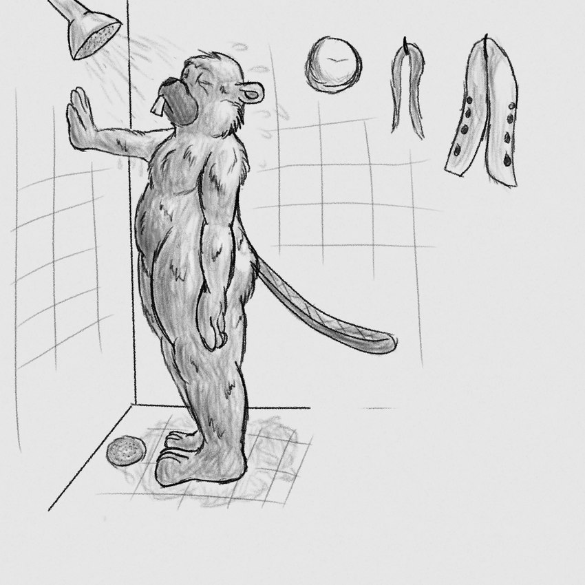 3_toes 4_fingers anthro buckteeth coat_hook eyes_closed featureless_crotch feet fingers flat_tail fluffy_chest fur leaning_on_wall male nude shower slightly_chubby slightly_chubby_male solo standing teeth toes wet wet_body wet_fur lendri_mujina broadside_beach shipwrecked_64 bucky_beaver beaver mammal rodent 1:1 2024 greyscale hi_res monochrome sketch