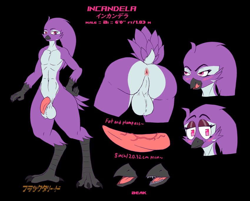 anthro anus balls beak bedroom_eyes big_balls big_butt blush butt claws eyelashes eyeshadow feathers feet femboy genitals hand_on_hip makeup male narrowed_eyes navel non-mammal_balls non-mammal_navel penis perineum plumage pupils seductive smile solo square_pupils tail tail_feathers talons tapering_penis teeth thick_thighs toes toothed_beak vein veiny_penis wide_hips flaktaryd starbound incandela avian avian_(starbound) absurd_res alpha_channel hi_res